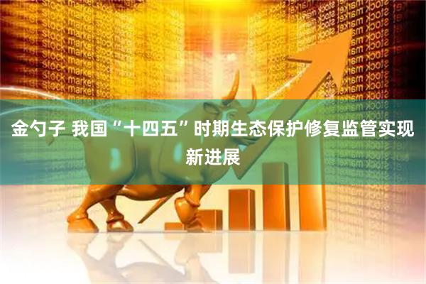金勺子 我国“十四五”时期生态保护修复监管实现新进展