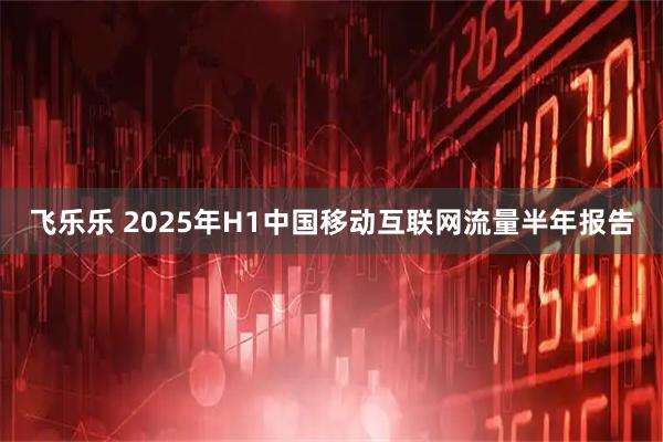飞乐乐 2025年H1中国移动互联网流量半年报告