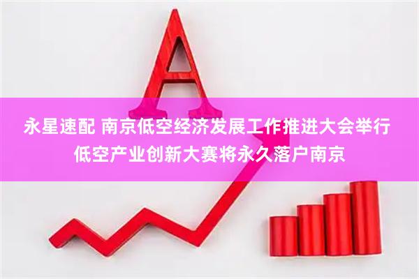 永星速配 南京低空经济发展工作推进大会举行 低空产业创新大赛将永久落户南京