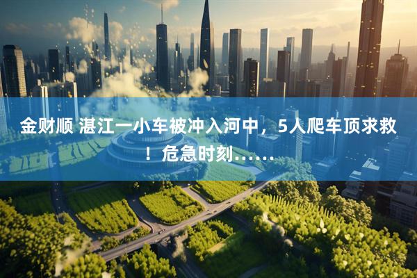 金财顺 湛江一小车被冲入河中，5人爬车顶求救！危急时刻……