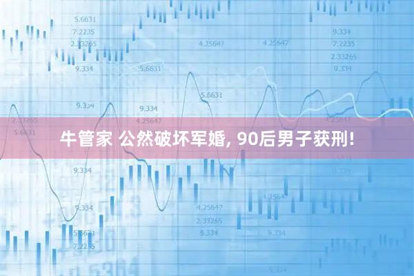 牛管家 公然破坏军婚, 90后男子获刑!